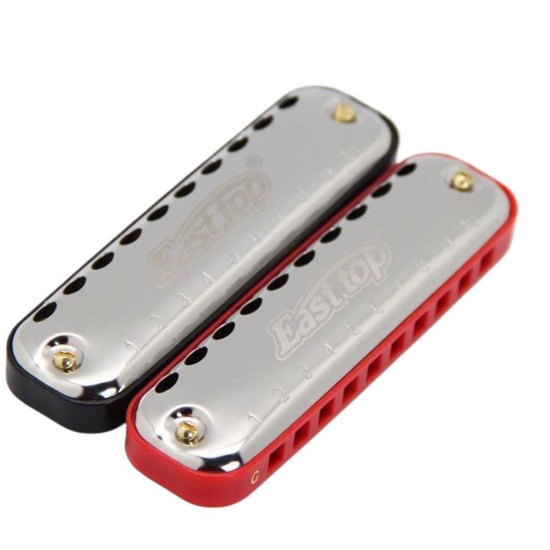 Harmonica 10 Hole - เครื่องดนตรีพกพาสำหรับผู้เริ่มต้นสำหรับผู้ใหญ่คีย์บลูส์ฮาร์โมนิก้า 10 รูกล่องพลาสติกสีเทา