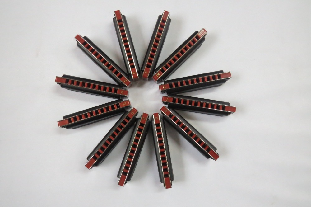 EASTTOP บลูส์ฮาร์ปออร์แกนปาก T - Harmonica 10 Hole บทวิจารณ์และราคา